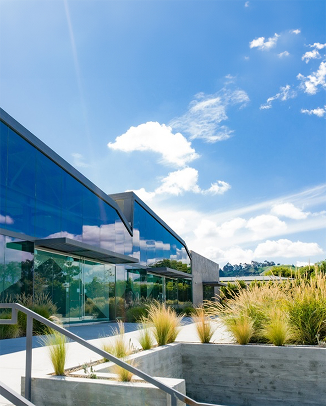 Een wandelpad met planten op de voorgrond en de glazen wand van Apple kantoren op de achtergrond.