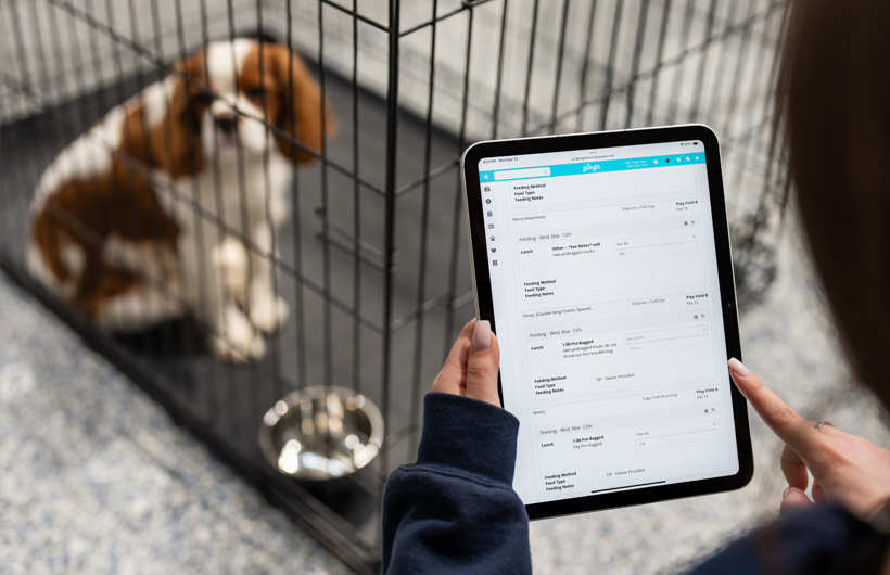 Medarbejderne bruger iPad til løbende at opdatere information om de forskellige kæledyr, f.eks. mad- og medicinindtag, ved hjælp af Gingr, som er en administrationsapp til virksomheder i kæledyrsbranchen.